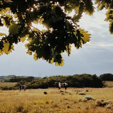 Tentes Tipis En Pleine Nature キャンプ場 Saint-Cyprien