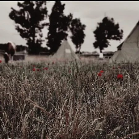 Tentes Tipis En Pleine Nature Κάμπινγκ